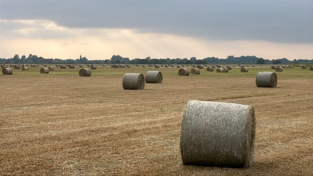 Round Bale Hay Yorkshire