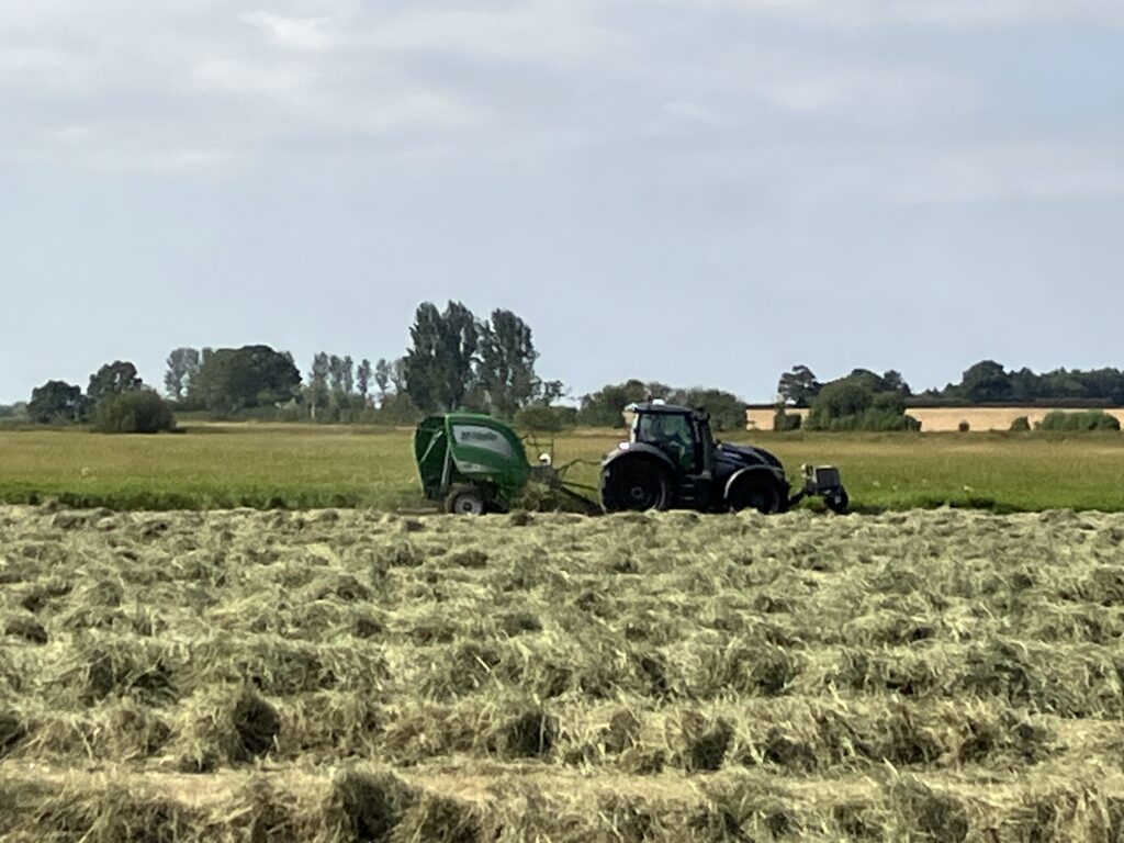Round Bale Hay Yorkshire