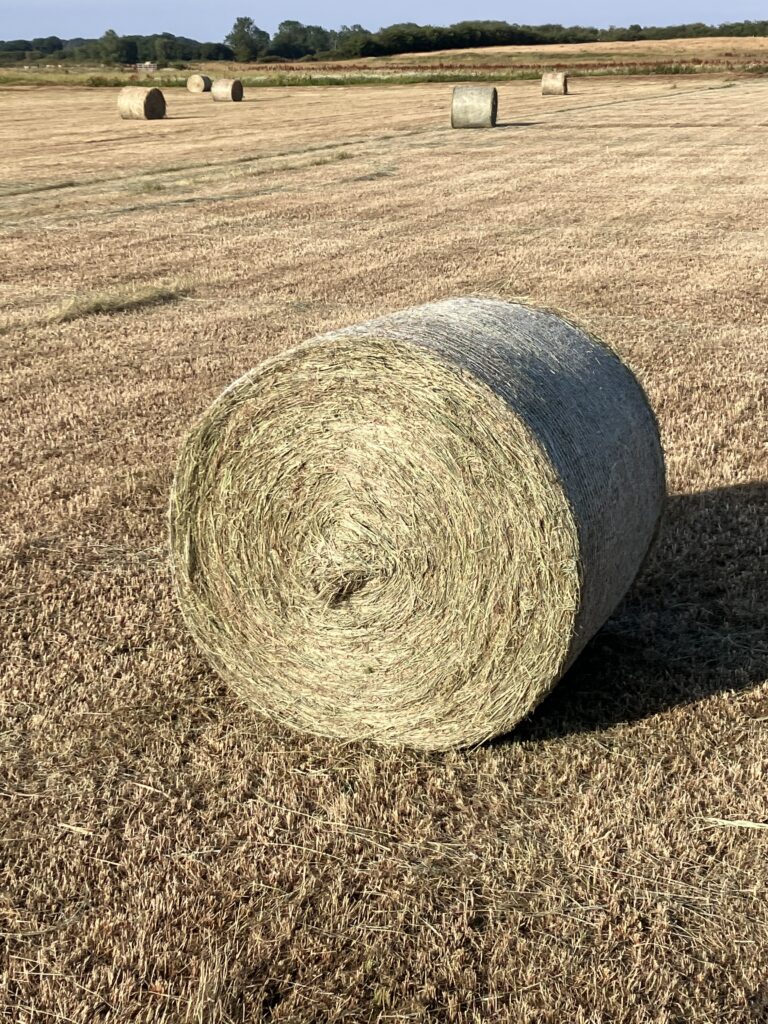 Round Bale Hay Yorkshire