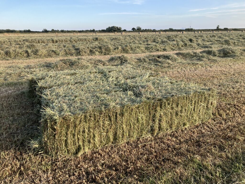 Small Bale Hay Yorkshire
