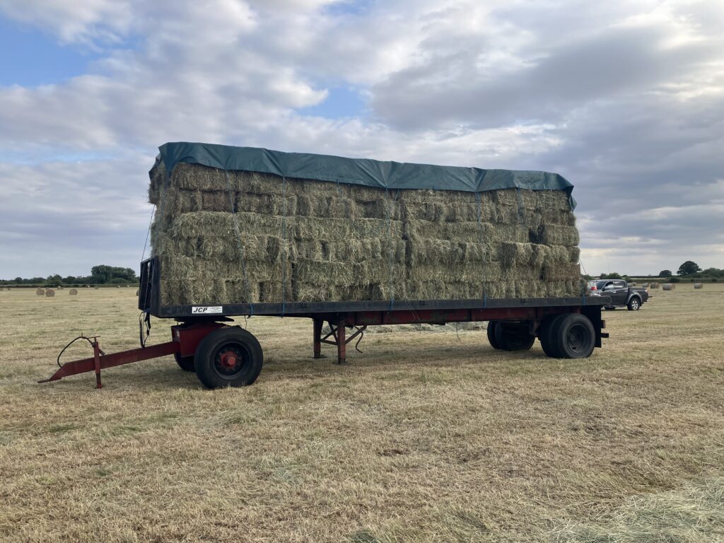 Small Bale Hay Yorkshire