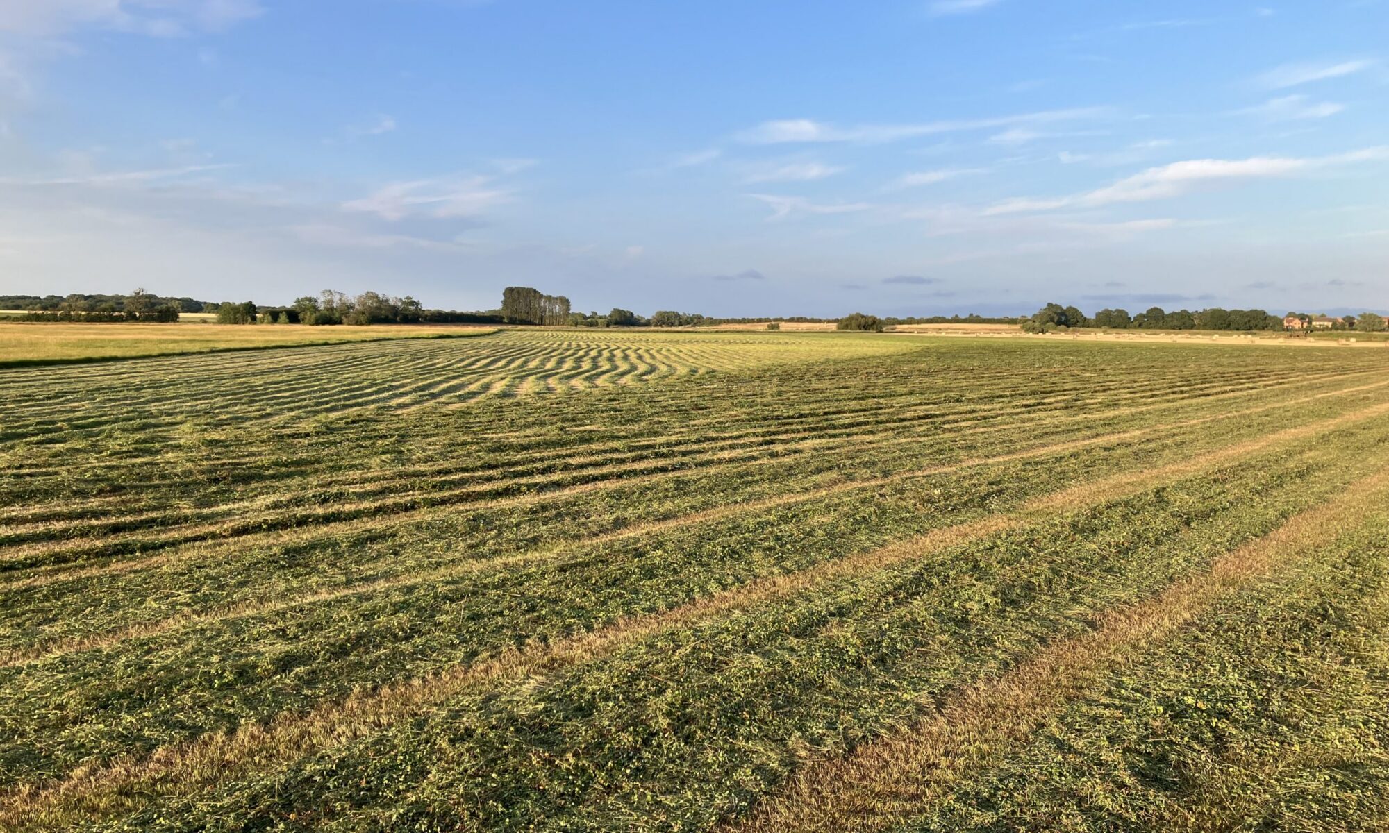 Small and Round Bale Hay Yorkshire